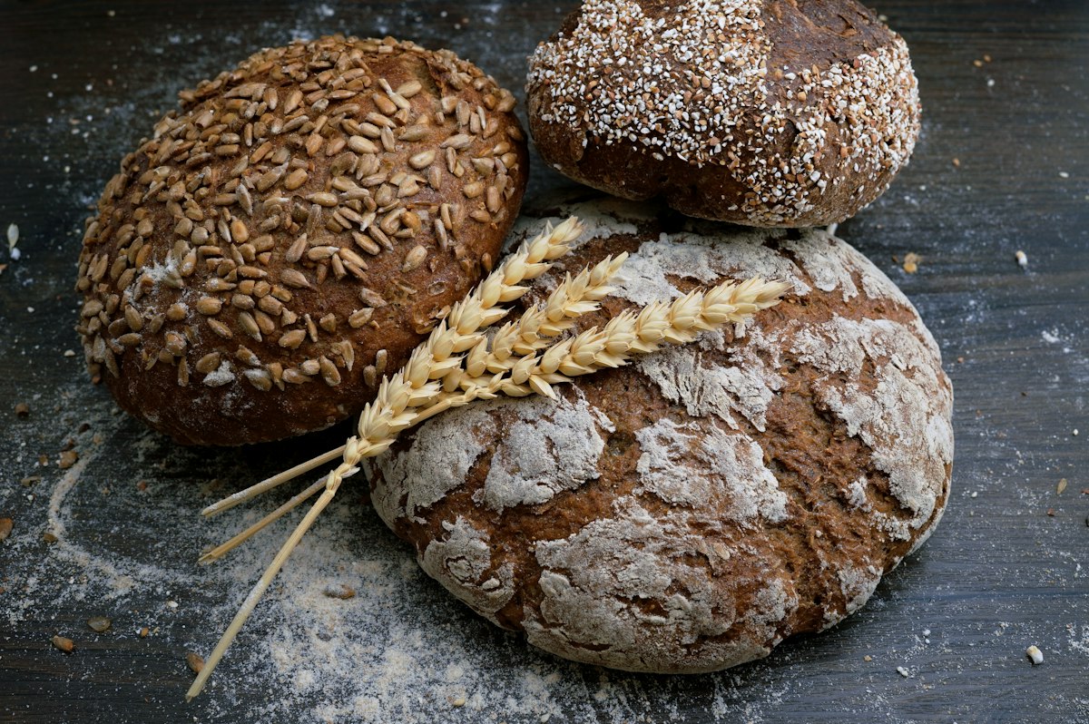 Rustic freshly baked loaves with wheat ears on a floured timber bench