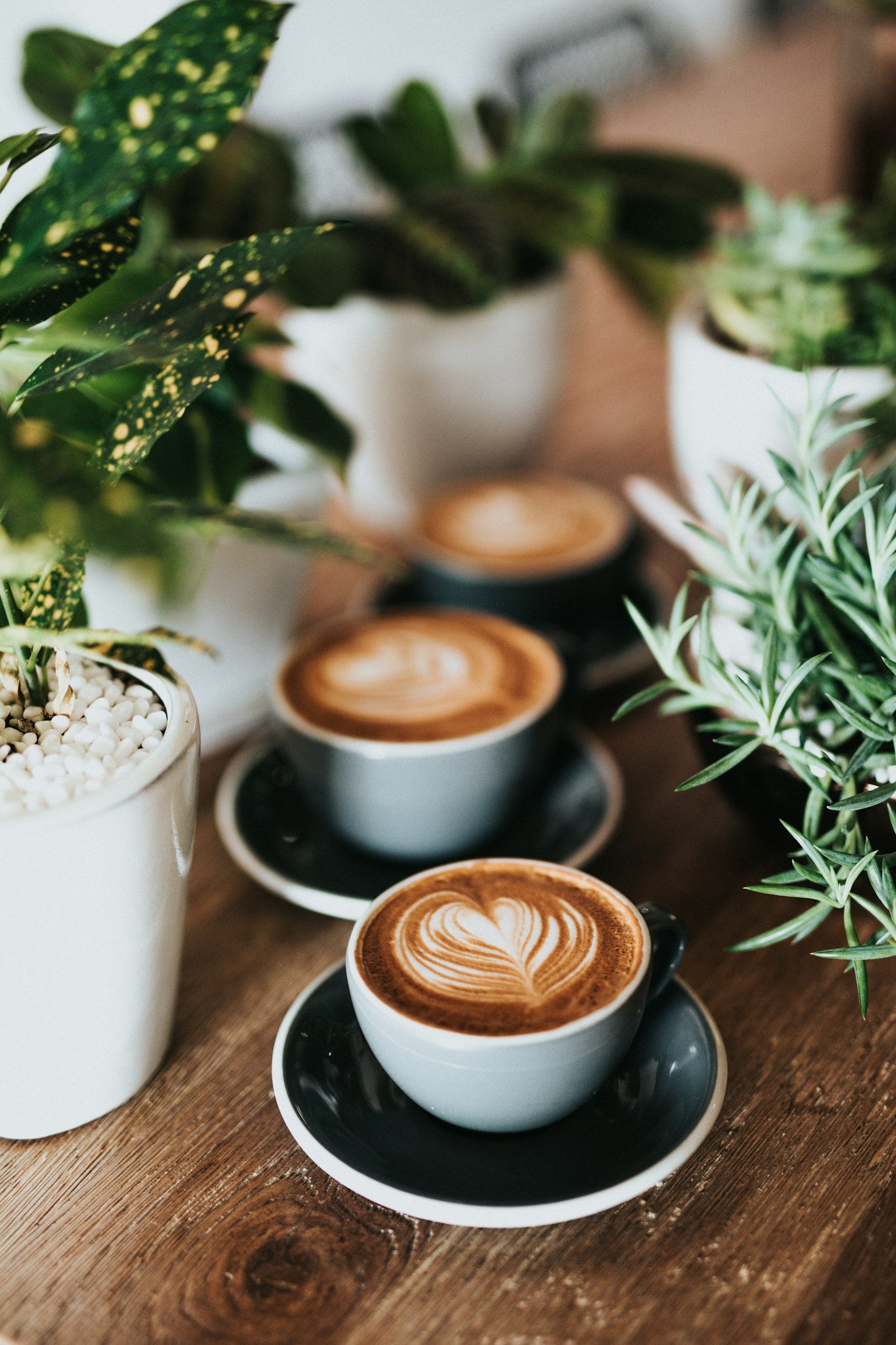 A barista coffee with latte art