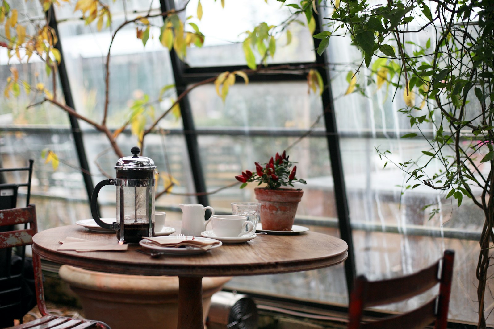 A leafy garden-room café table set with coffee and a pot of tea